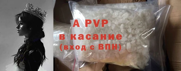 PSILOCYBIN Верея