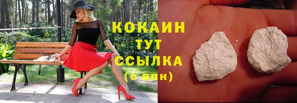PSILOCYBIN Верея