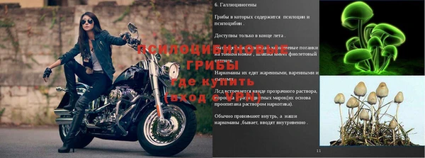 мескалин Бронницы