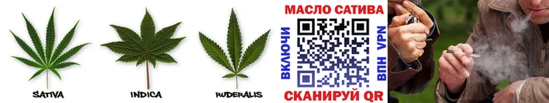 Купить Выкса ТГК концентрат